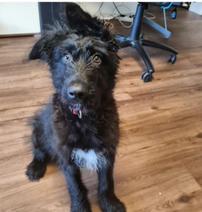 Luna